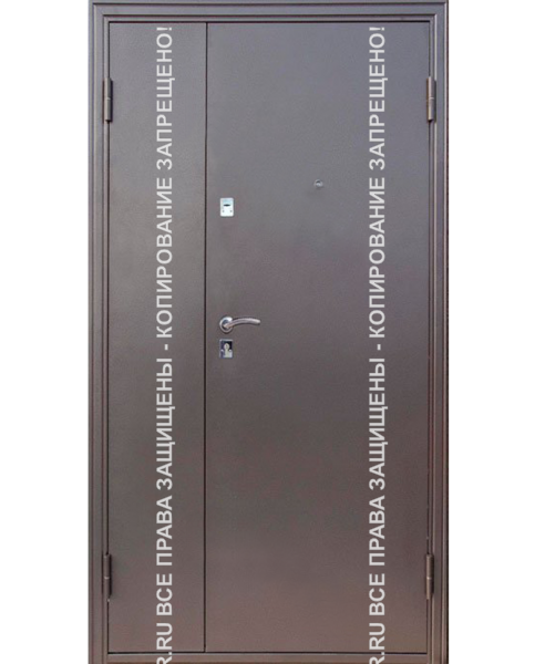 Дверь входная офисная Порошок 0036 Дверь входная офисная Порошок 0036
